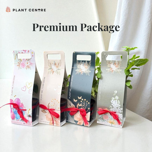 Premium Gift Package