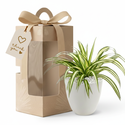 Gifting - Executive Package