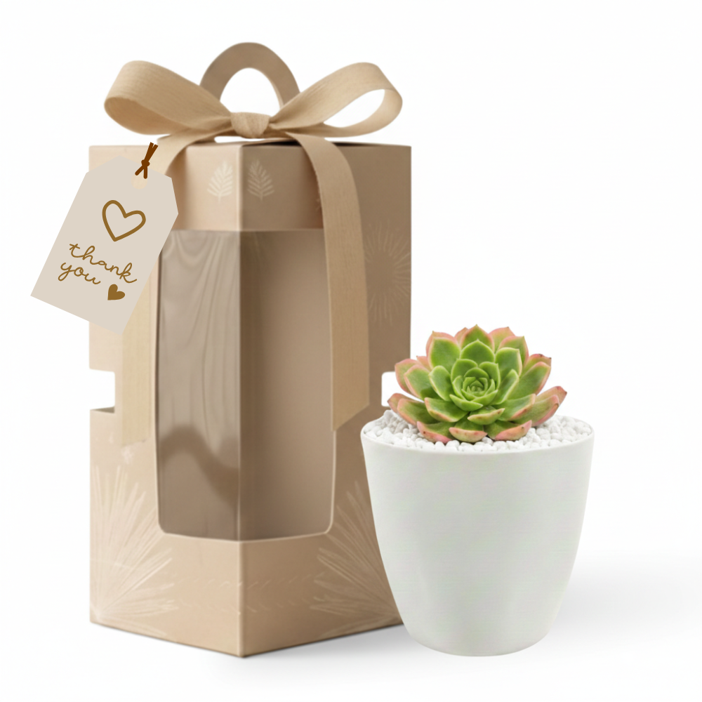 Gifting - Executive Package