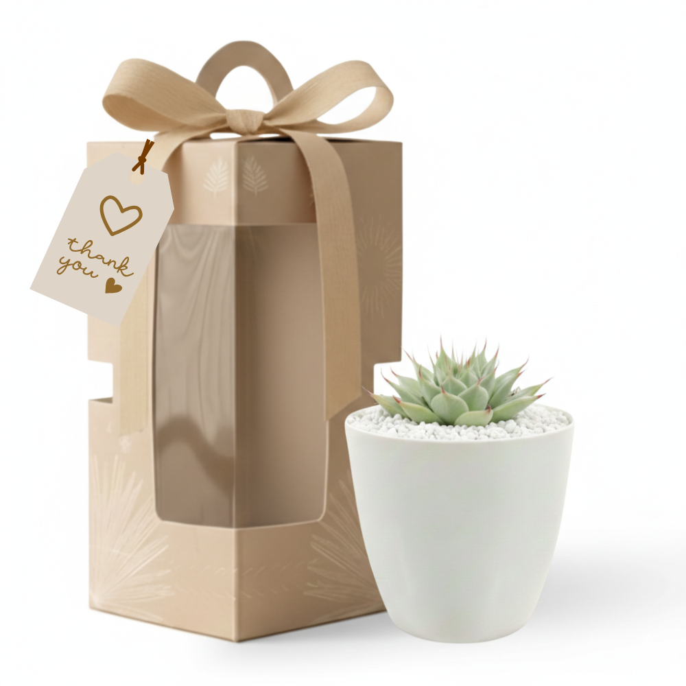 Gifting - Executive Package