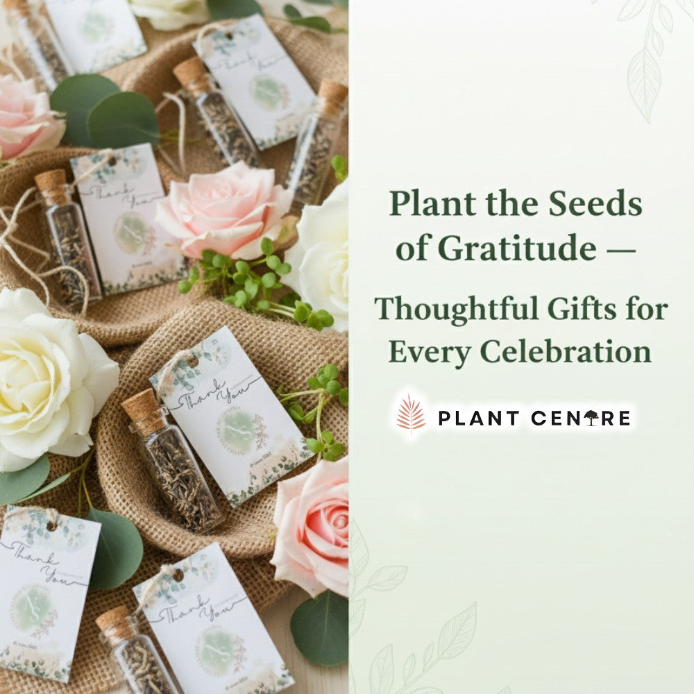 Bottles with seeds and cards on a textured surface with flowers, promoting 'Plant the Seeds of Gratitude' by Plant Centre.