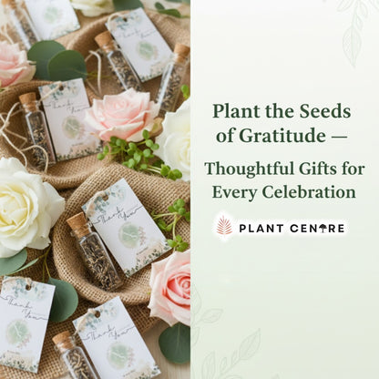 Bottles with seeds and cards on a textured surface with flowers, promoting 'Plant the Seeds of Gratitude' by Plant Centre.