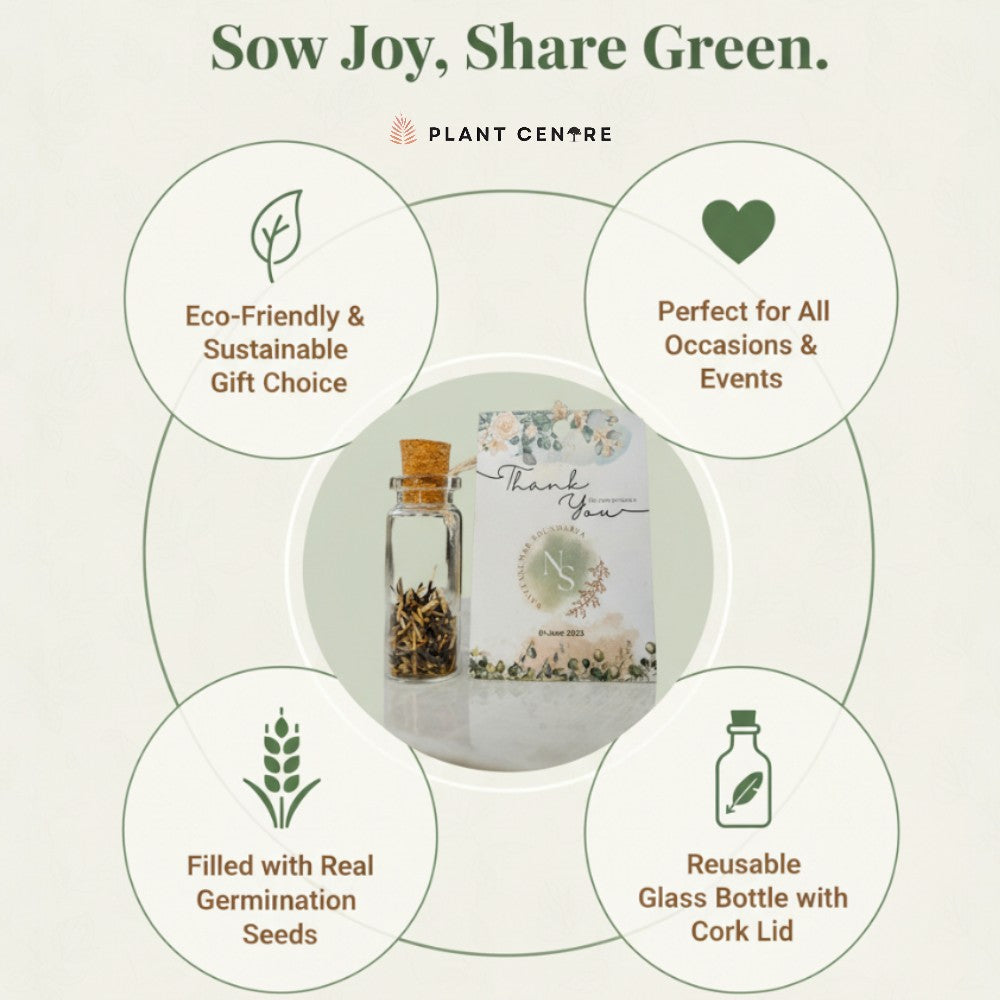 Promotional graphic for a plant gift set with text and icons on a white background.