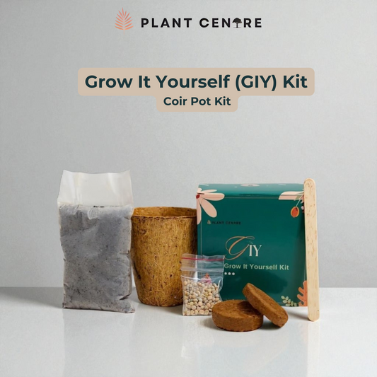 DIY Grow Kit Coir Pot for Kids | Fun Gardening Activity