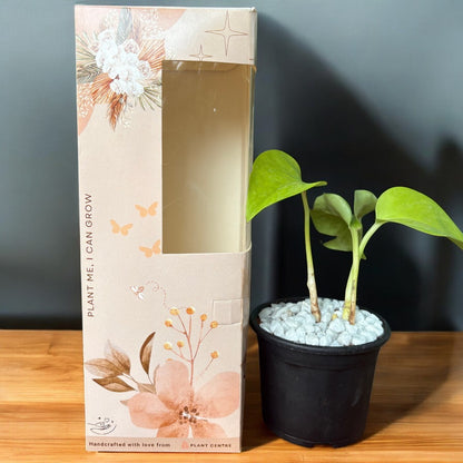 Gifting - Signature Package