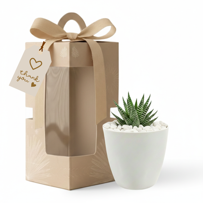 Gifting - Executive Package