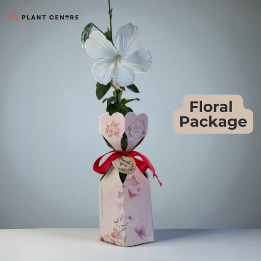 Floral Package | Eco-Friendly Plant-Based Gift for Special Occasions

