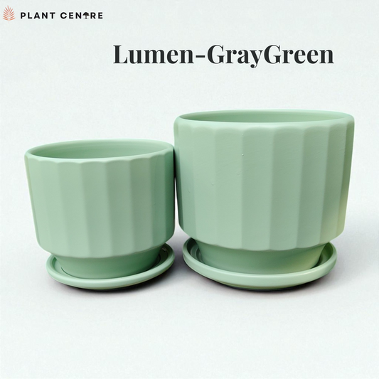 Two light green plant pots with saucers on a white background, labeled 'Lumen-GrayGreen'.