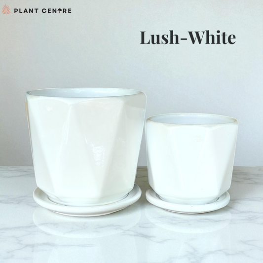 Two white plant pots with saucers on a marble surface, labeled 'Lush-White' by Plant Centre.