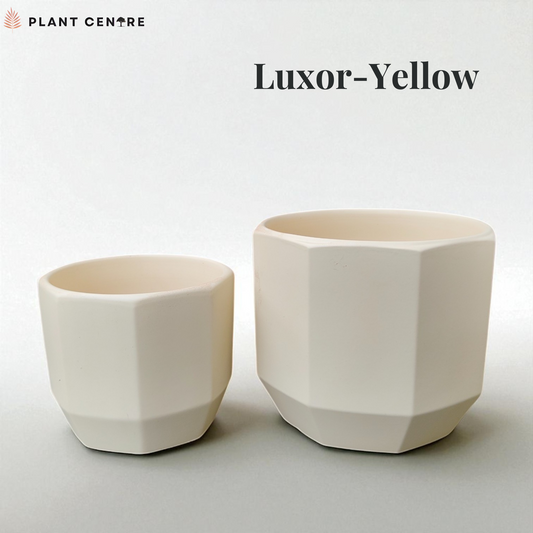Two geometric white planters on a light gray background with 'Luxor Yellow' text.
