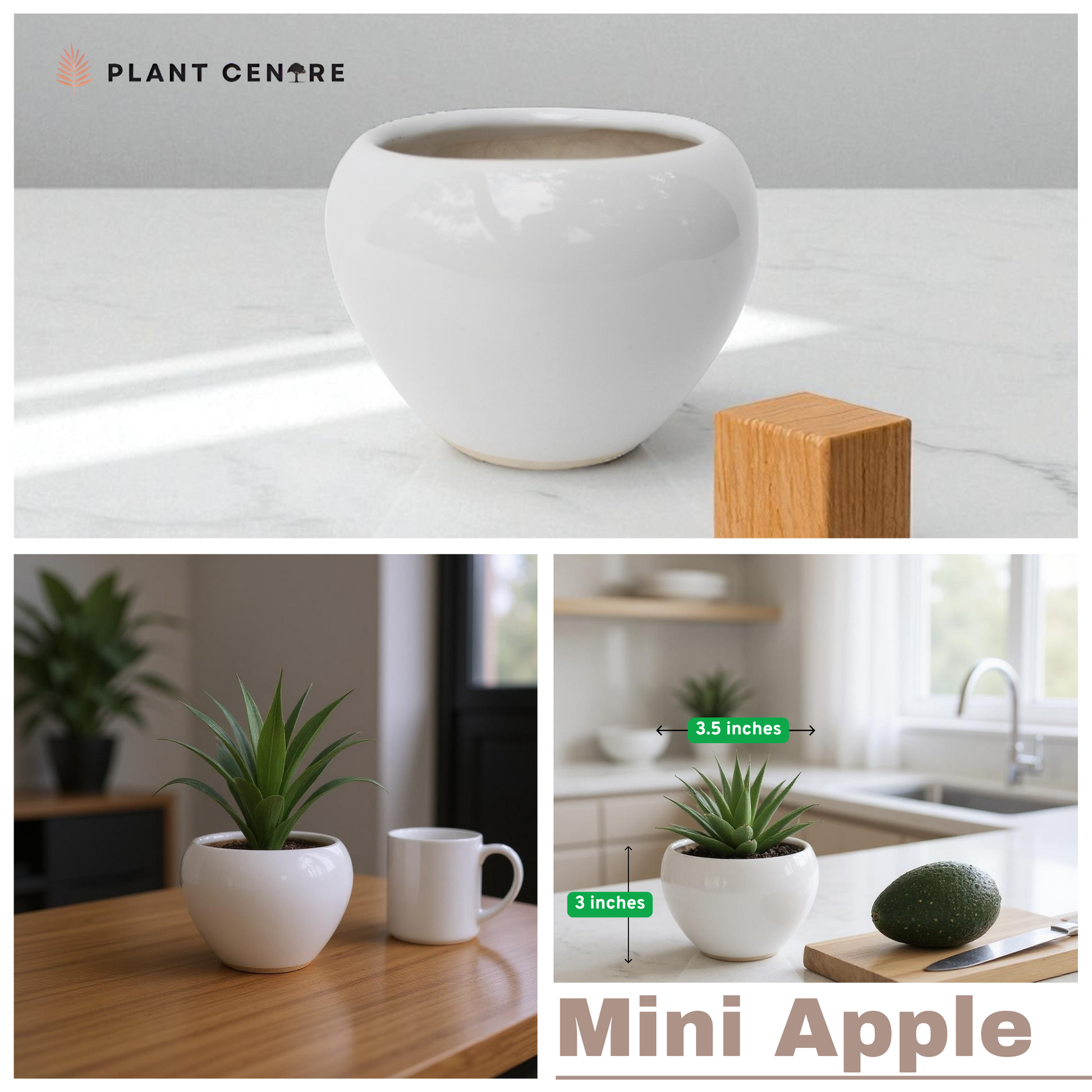 White ceramic pot with 'Plant Centre' branding, shown in various settings.