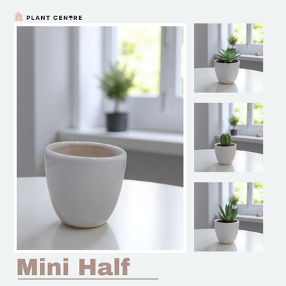 Collage of white plant pots with plants on a light background, featuring 'Plant Centre' branding.