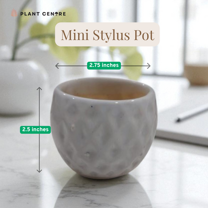 Mini stylus pot with dimensions on a marble surface