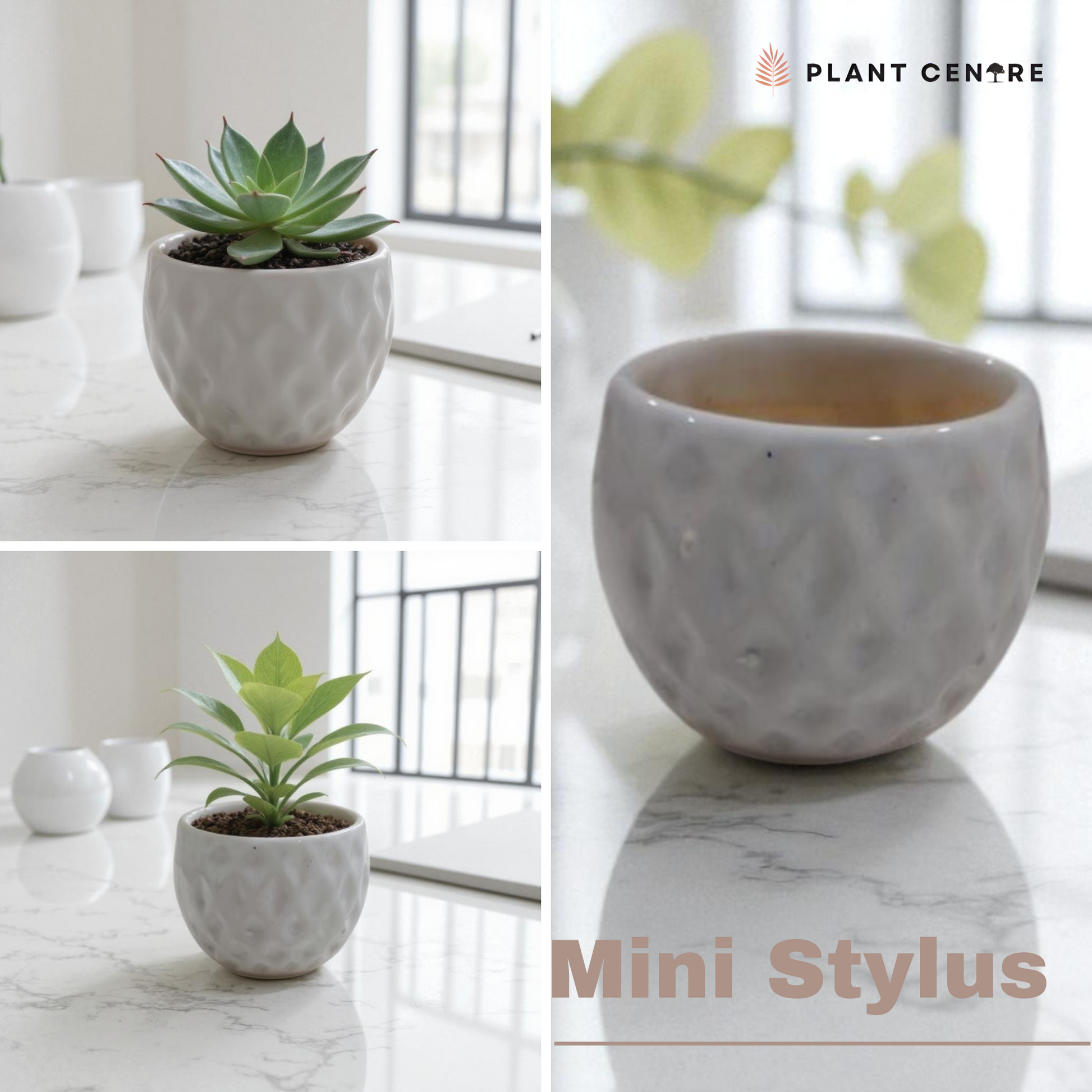 Two light green plant pots with saucers on a white background, labeled 'Lumen-GrayGreen'.