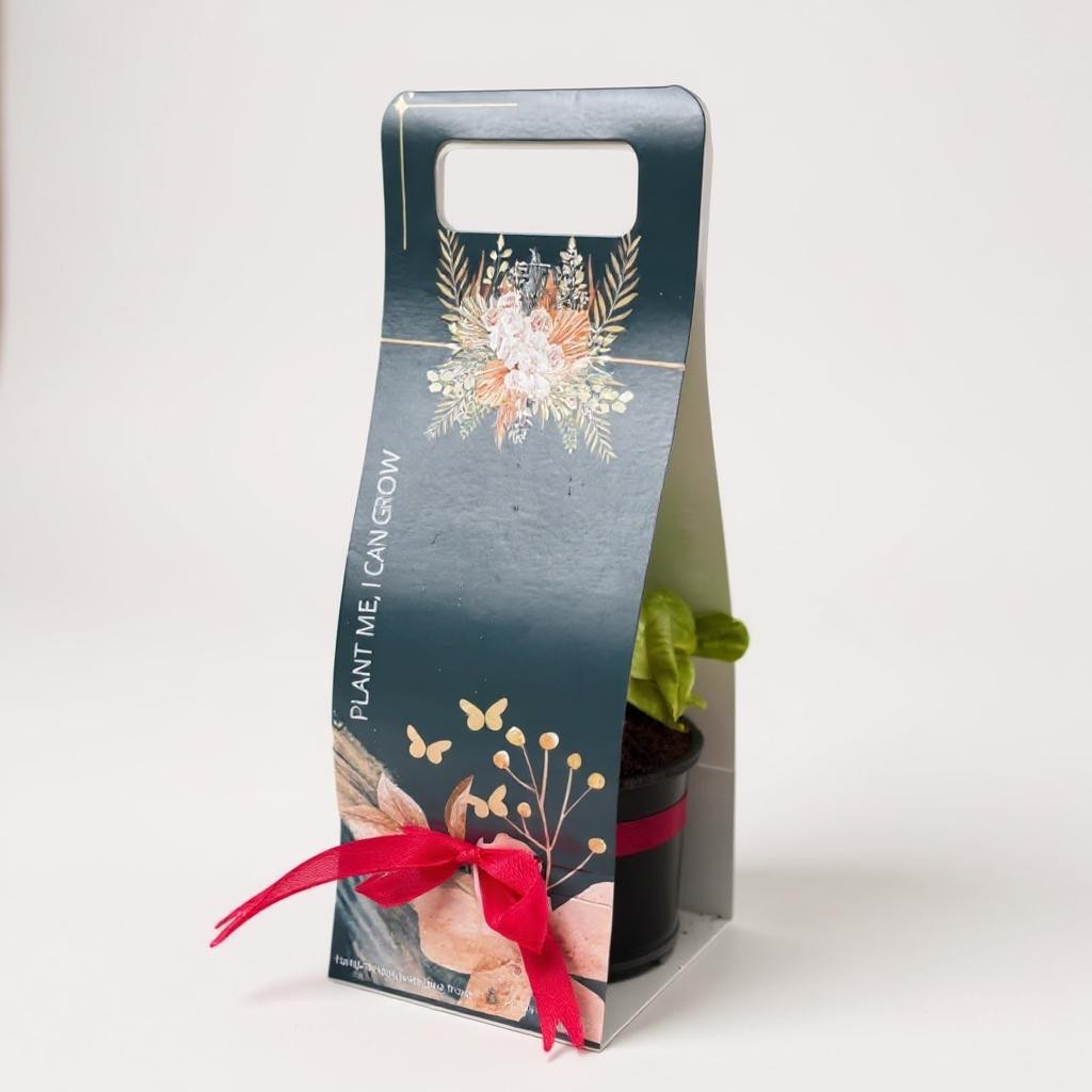 Premium Gift Package