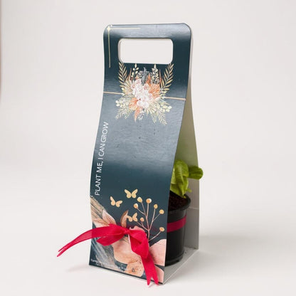 Premium Gift Package