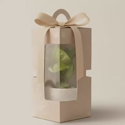 Gifting - Executive Package