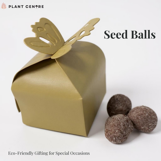 Seed Balls | Eco-Friendly Gifting Solution for Weddings, Birthdays, and Events