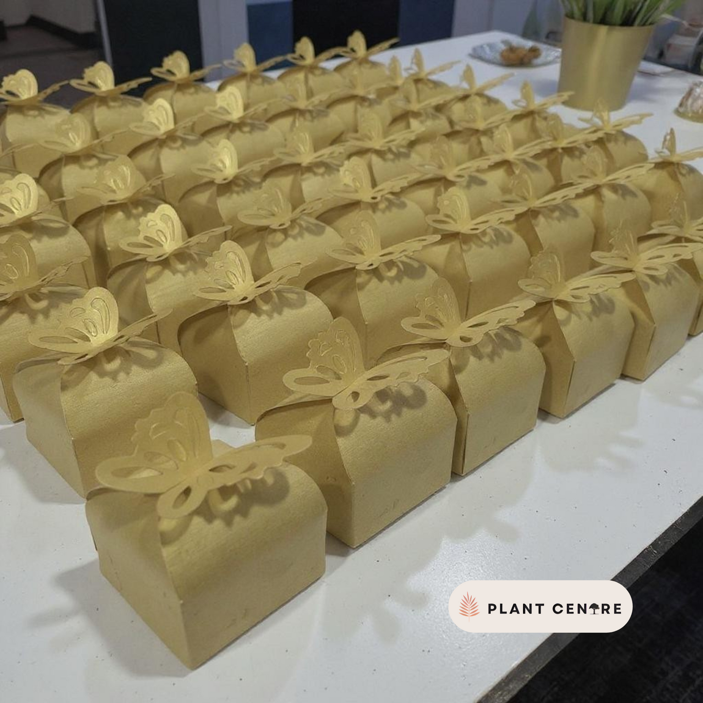 Eco-Friendly Seed Balls | Unique Wedding Return Gifts for Guests